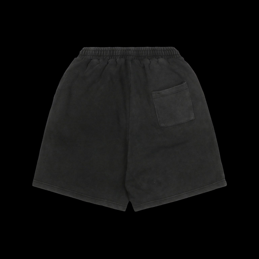 Arc'Teryx Short